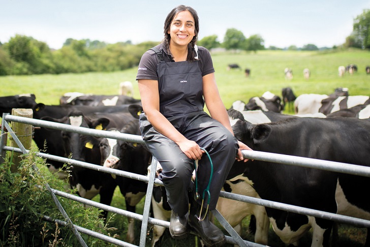 A woman sitting on a metal gate in front of a herd of cows