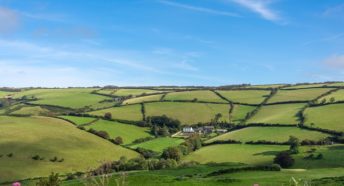 Hill green pasture criss-crossed by hedgerows under a blue sky