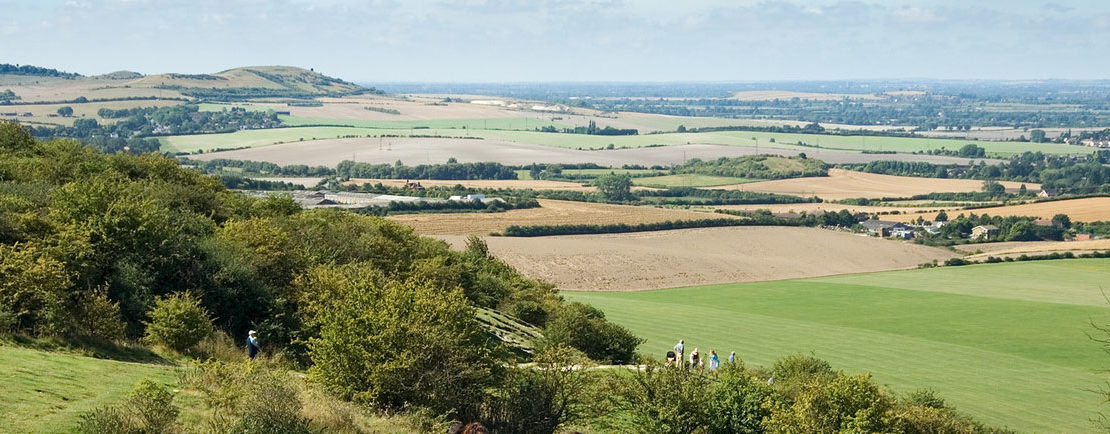 Buckinghamshire countryside