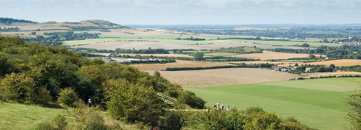 Buckinghamshire countryside