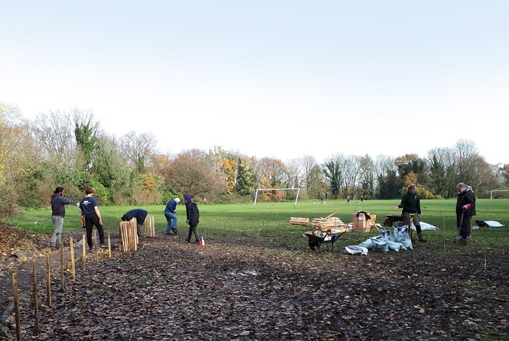 A community group planting a hedgerow in an urban green space