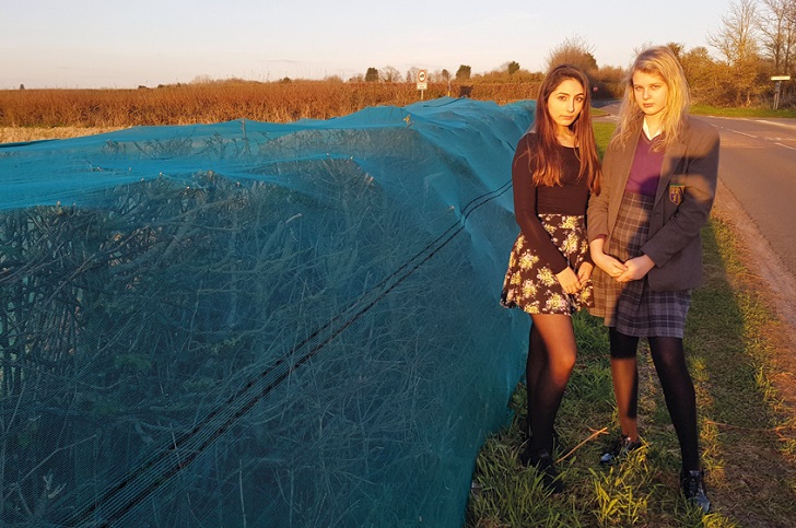 Two young women standing by a hedgerow covered in blue netting