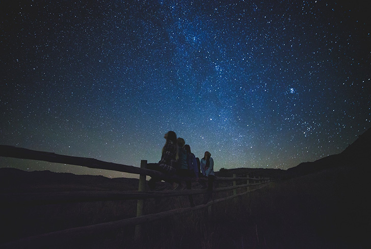 A group of people sat on a fence stargazing