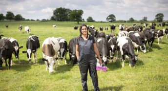A woman in a field surrounded by cows