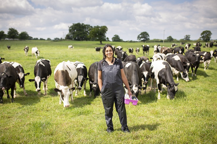 A woman in a field surrounded by cows
