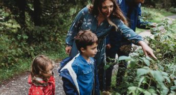 A man and woman and two children lean forward to look into a hedgerow thicket