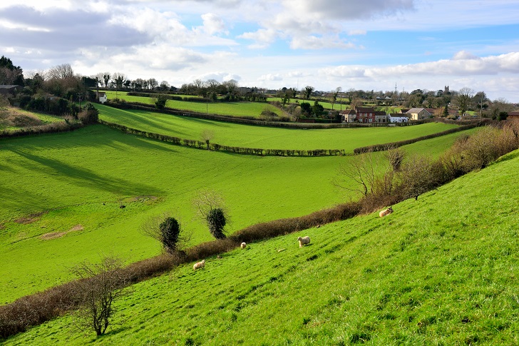 A green valley crossed by hedgerows with a village in the distance