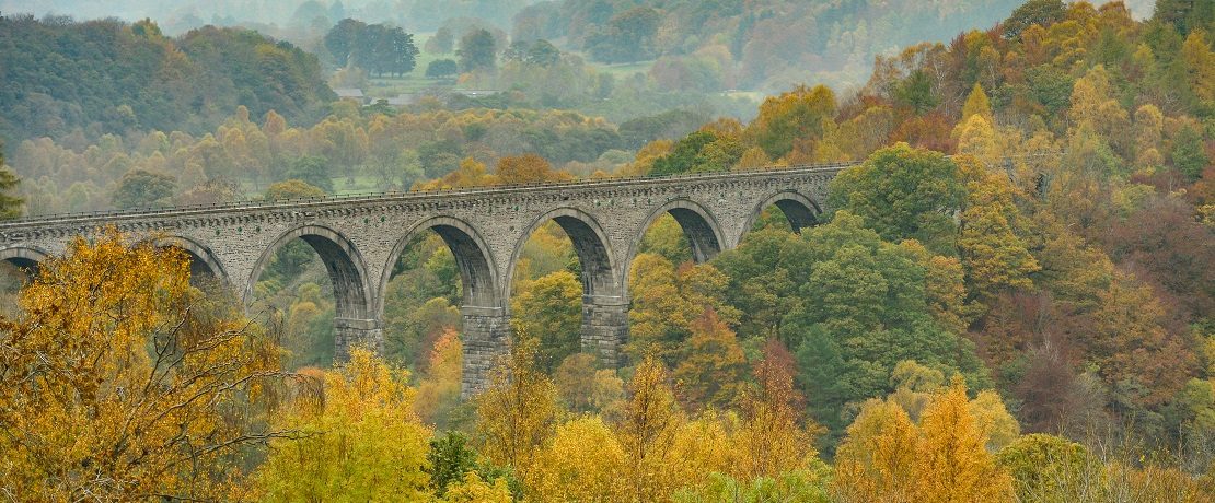 A viaduct in misty landscape with autumnal trees