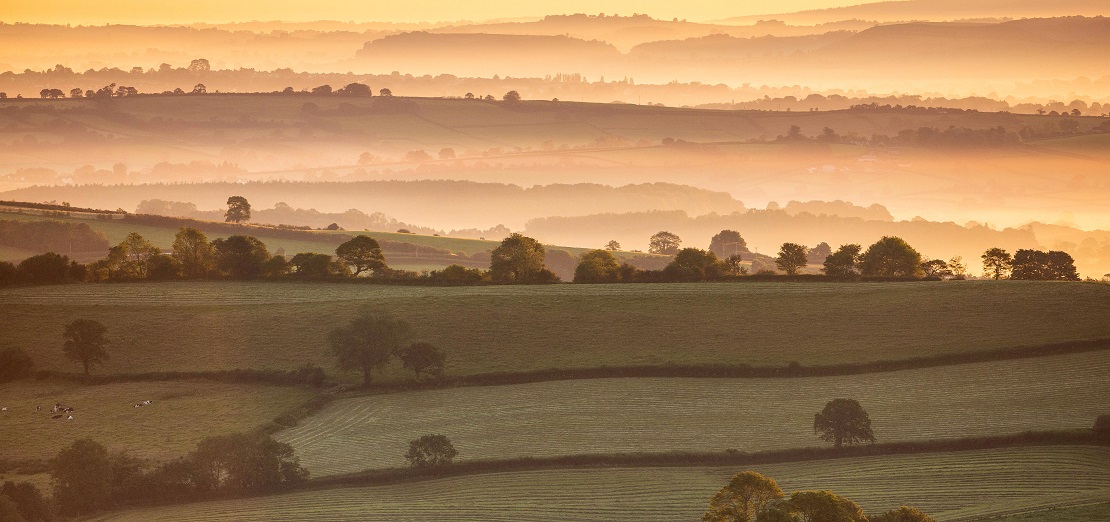 A panoramic landscape showing misty hills criss-crossed by hedgerows