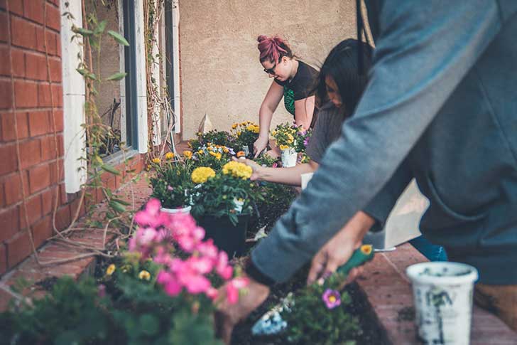 Three people kneeling working at flower beds