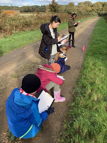 A group of children with notepads recording wildlife in a country lane