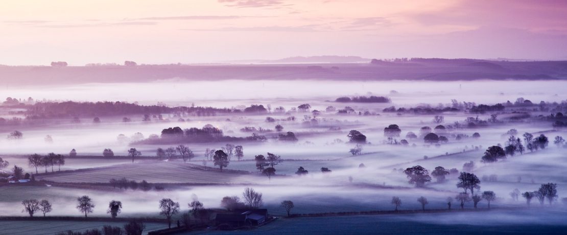 A misty sunrise and pink sky viewed from a hill in a rolling landscape