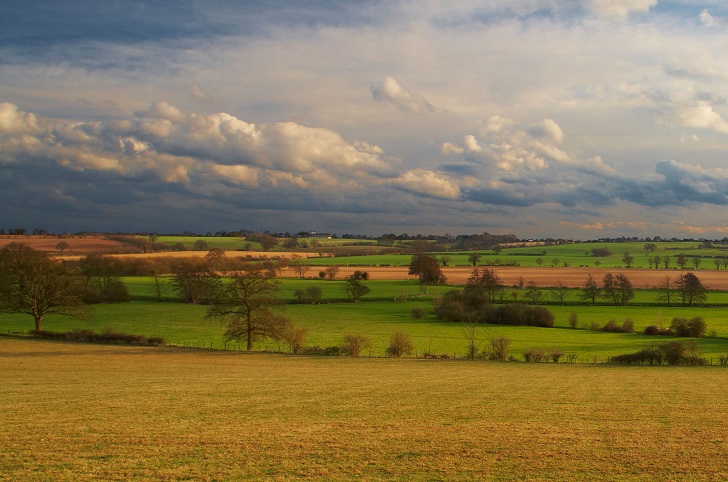 A flat landscape with views of pasture and hedgerows