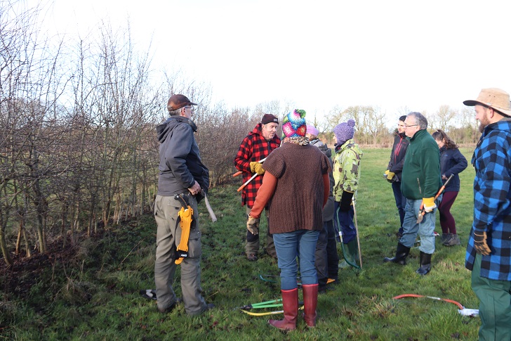 A group of people with hedgelaying equipment standing next to a hedge in winter