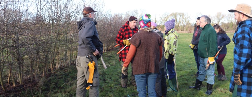 A group of people with hedgelaying equipment standing next to a hedge in winter