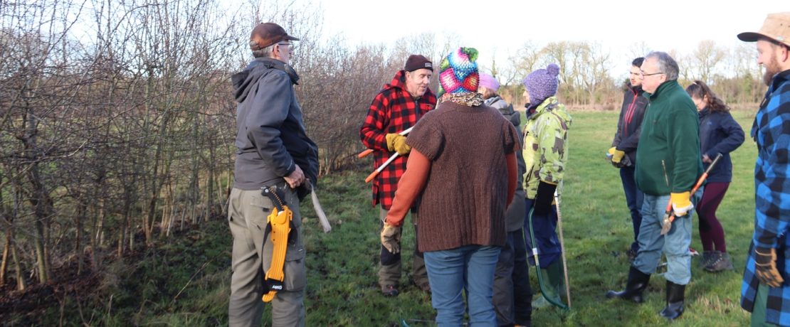 A group of people with hedgelaying equipment standing next to a hedge in winter