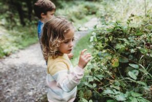 Two children look closely at hedgerow plants
