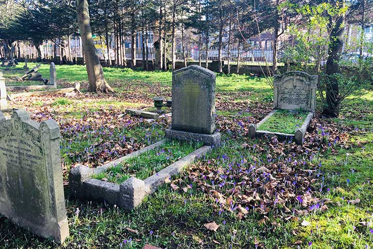 Gravestones with small green plants visible poking up beside them