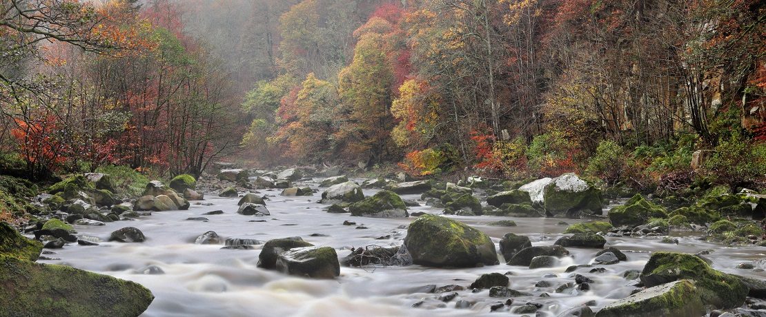 A rocky river surrounded by autumnal trees