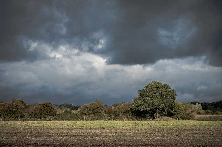 Dark bruisy clouds above a farmed field