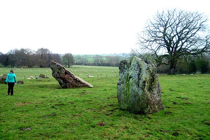 Two large mottled grey stones stand in green grass
