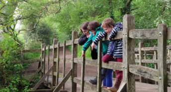 A woman and two young boys look over a bridge and point down at the water