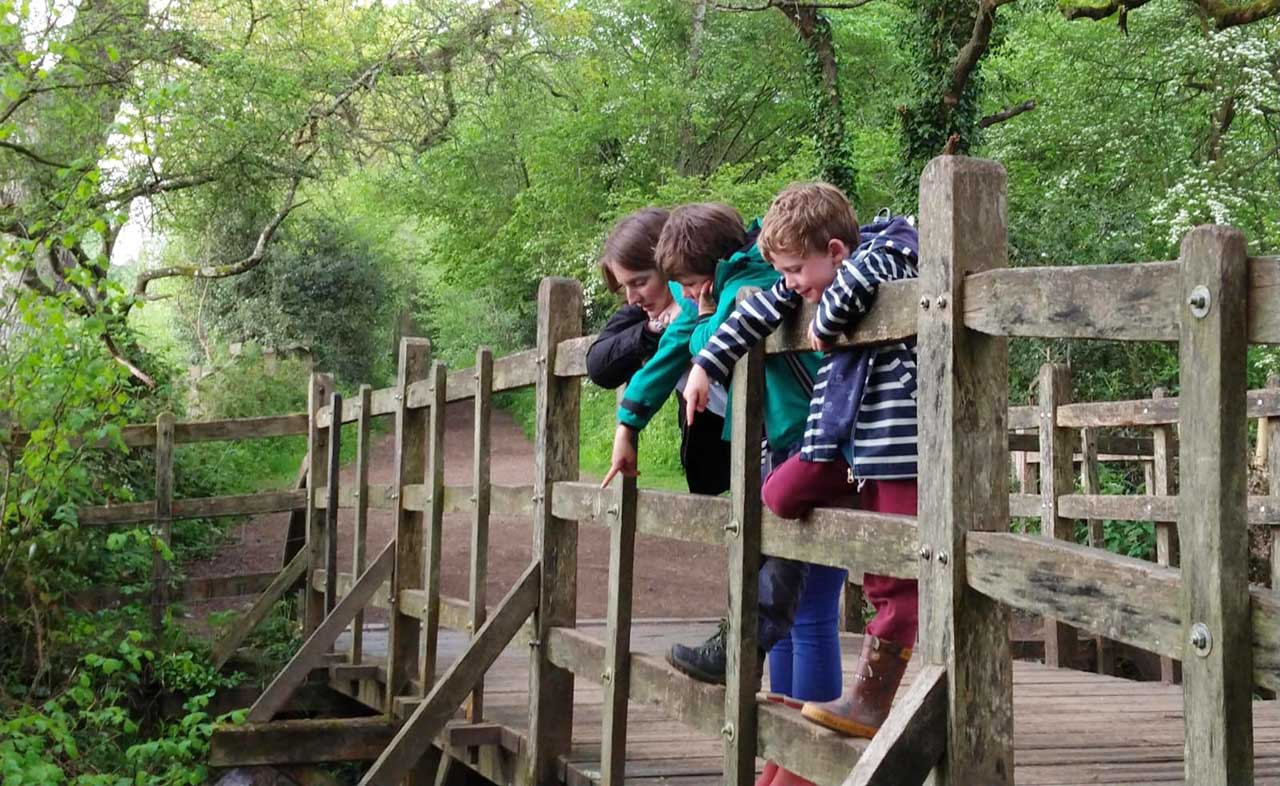 Poohsticks our favourite bridges to play Winnie the Pooh’s game CPRE