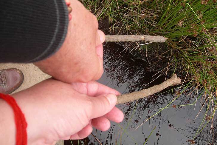Two hands holding small twigs over a stream