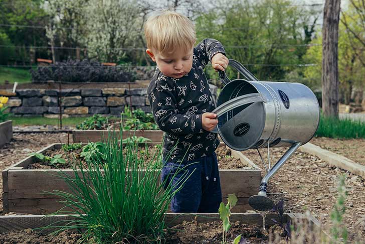A small boy waters plants in a raised bed