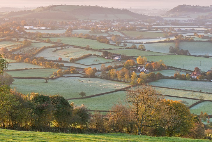 A misty frosty patchwork landscape