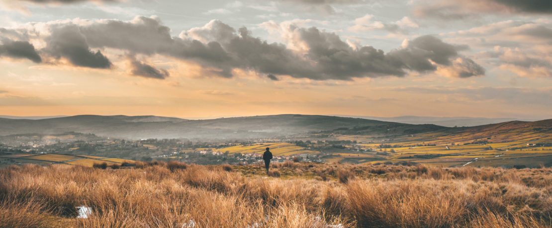 A small figure on the horizon of warm pinky moorland