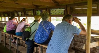 Backs of people watching birds from a hide on a sunny day