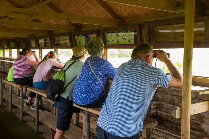 Backs of people watching birds from a hide on a sunny day