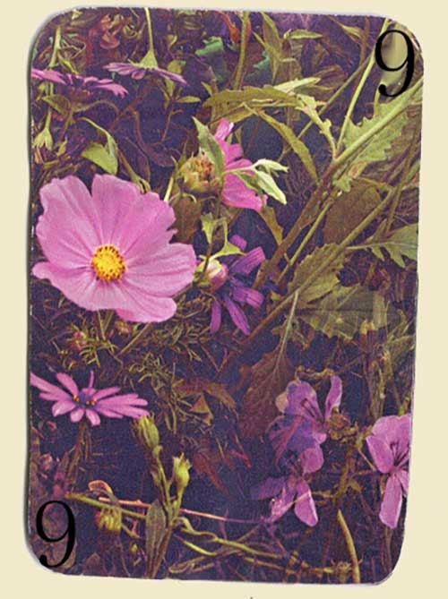 A playing card with flower photography