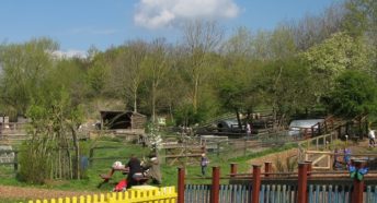 Families enjoying a community farm