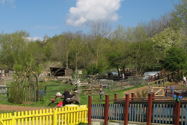 Families enjoying a community farm