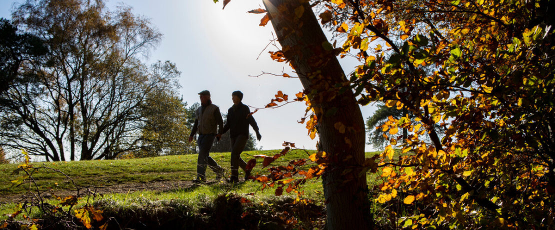 Silhouette of couple walking across field with autumn trees in bright sunlight