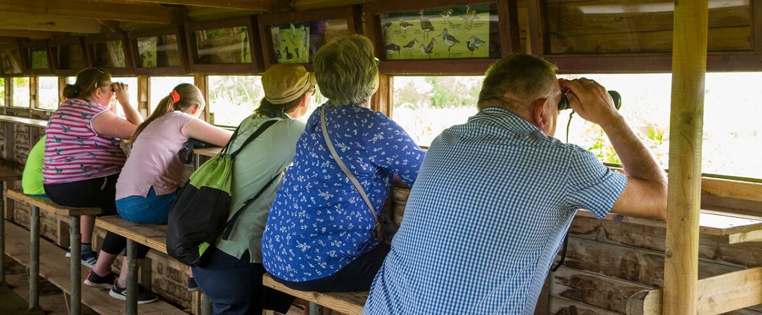 Backs of people watching birds from a hide on a warm day.