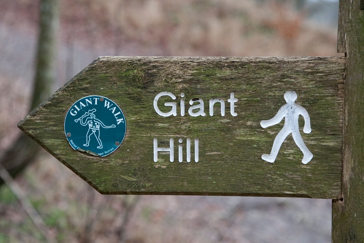 Worn wooden signpost with sign for Cerne Abbas giant on it.