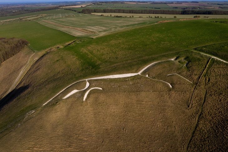 White chalk horse in landscape