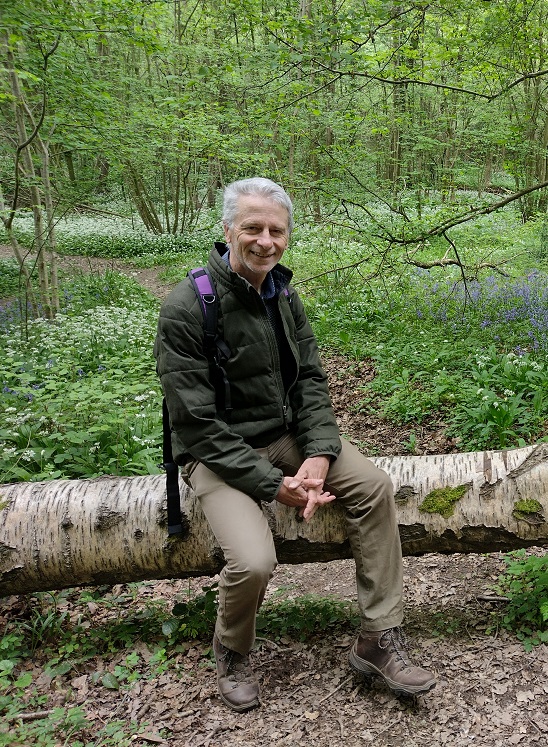 Man sitting on silver birch trunk in bluebell woods