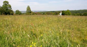 girl running through summer meadow