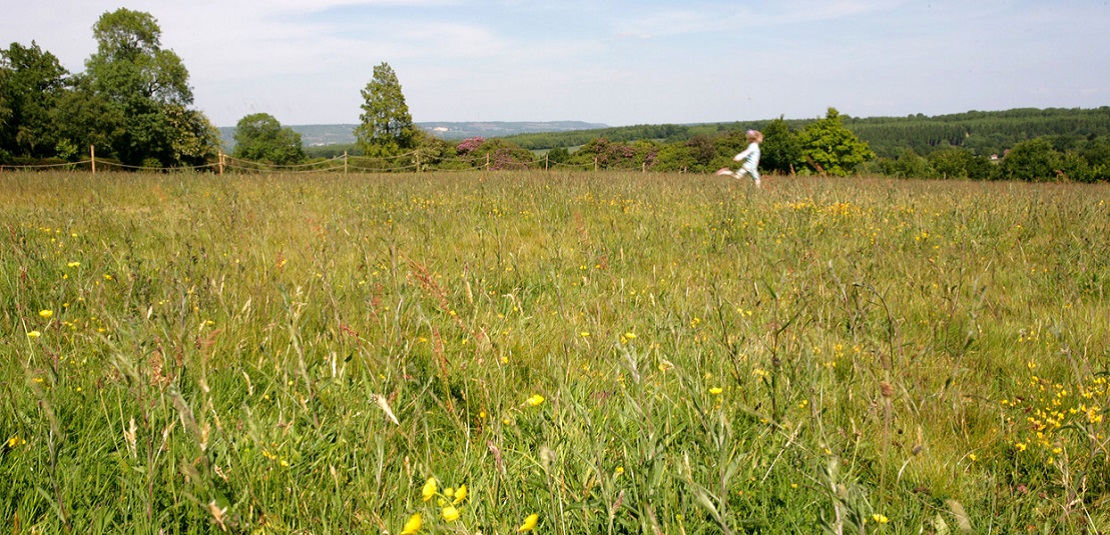 girl running through summer meadow