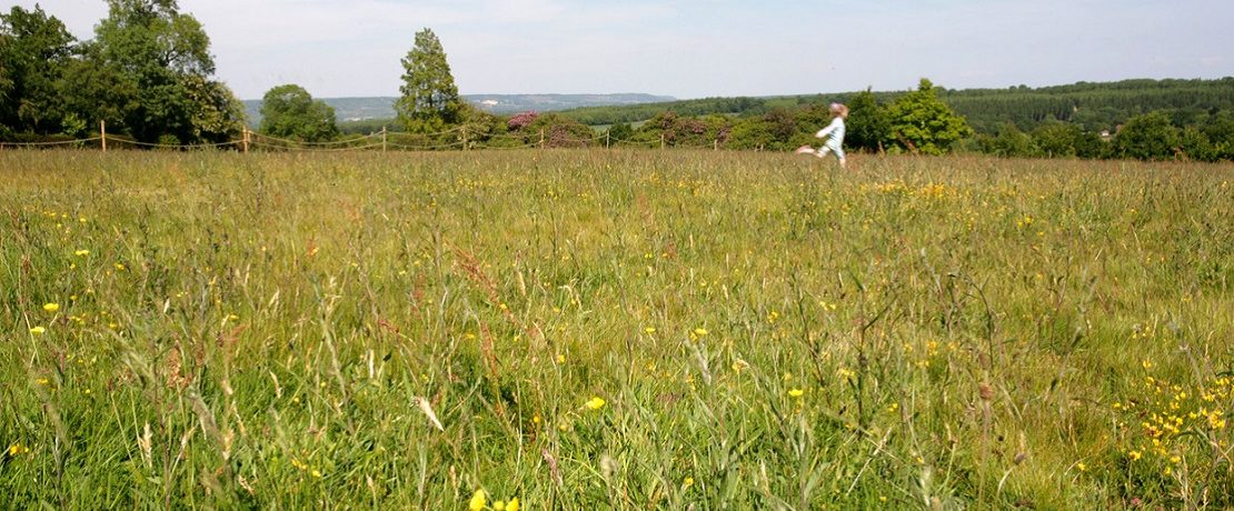 A small girl runs through summer meadow.