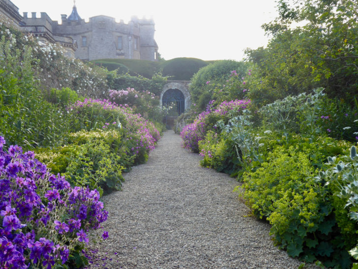 Flower lined pathway at Rousham Gardens