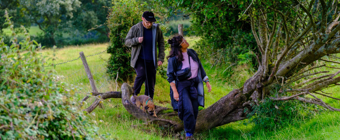 A couple walking through a field with their dog looking up at an apple tree