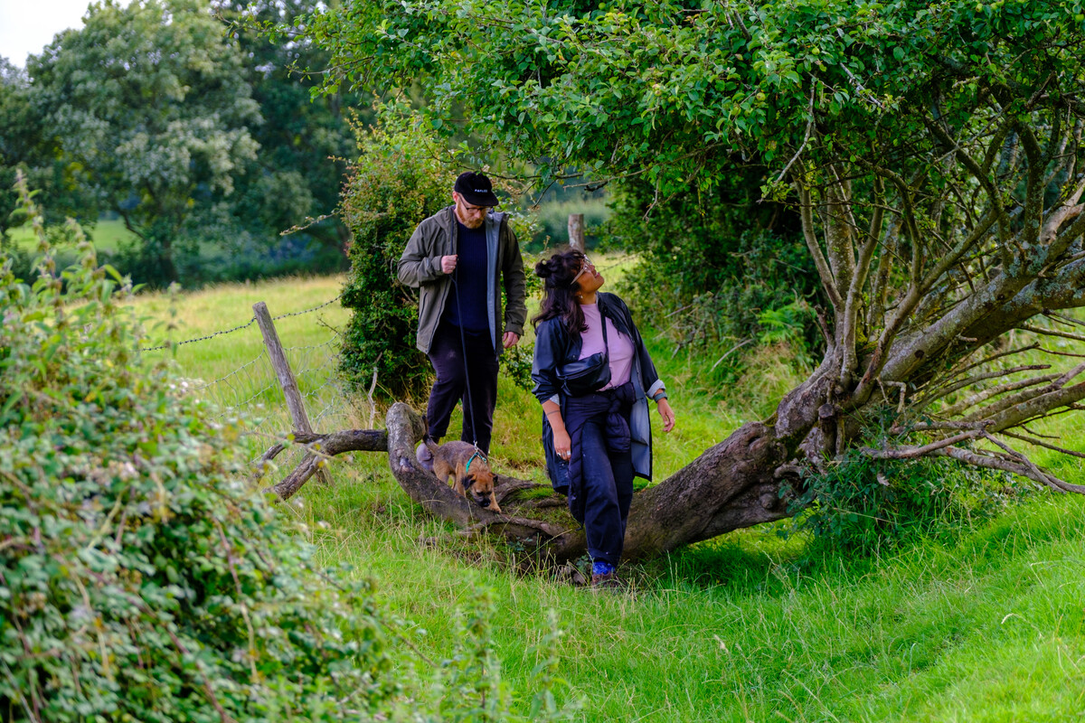 A couple walking through a field with their dog looking up at an apple tree