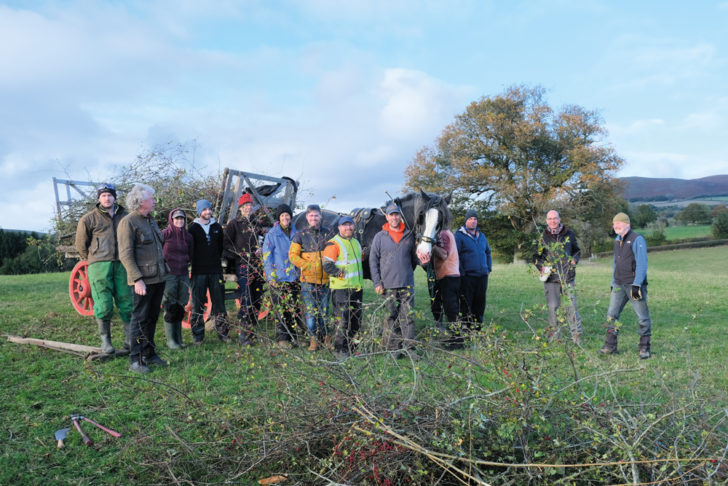 Hedge laying volunteers stood in a line together