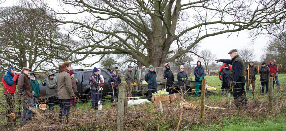 Volunteers at a hedgelaying workshop in Oxfordshire