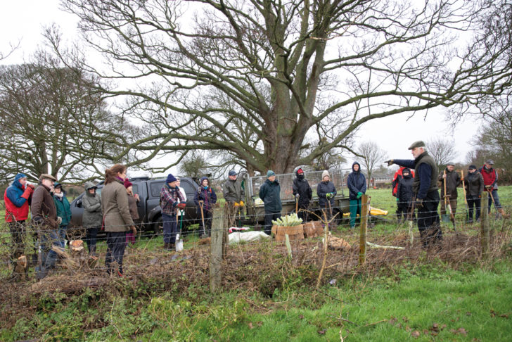 Volunteers at a hedgelaying workshop in Oxfordshire